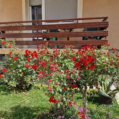 Guesthouse Irac Tuzla Ngoại thất bức ảnh